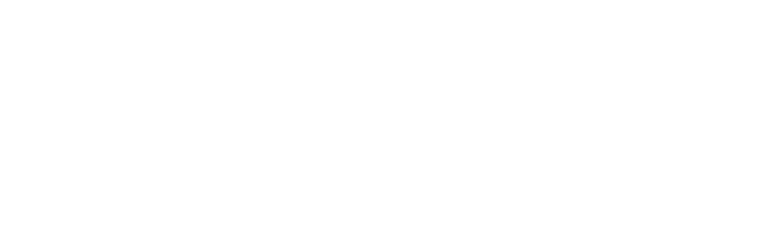 Polaris Technologies and Services